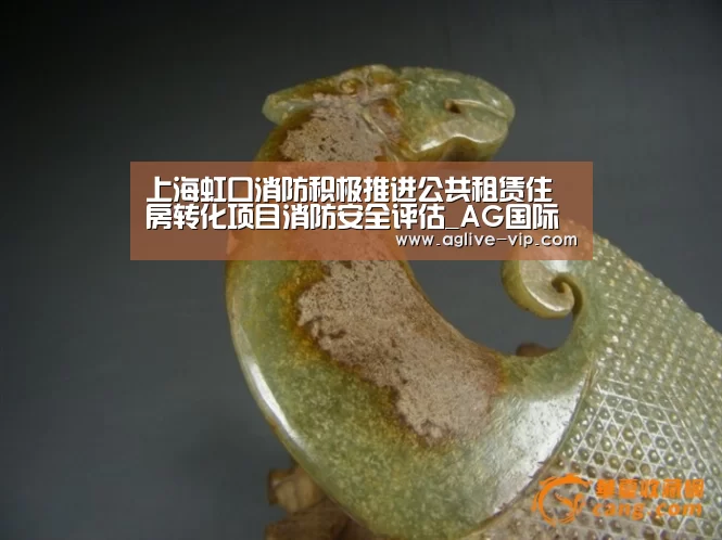 上海虹口消防积极推进公共租赁住房转化项目消防安全评估_AG国际厅(图3) AG真人