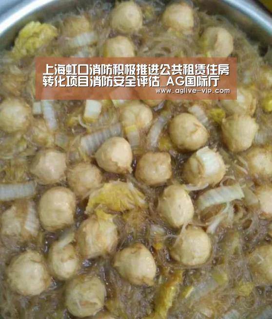 上海虹口消防积极推进公共租赁住房转化项目消防安全评估_AG国际厅(图4) AG直播