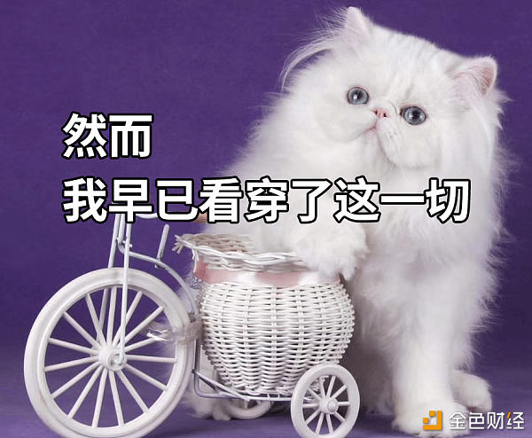 上海市尚德实验学校2014年初中部招生简章“AG入口”(图3) AG国际厅