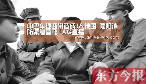 中巴车撞断树造成1人被困 隆阳消防紧急营救-AG直播