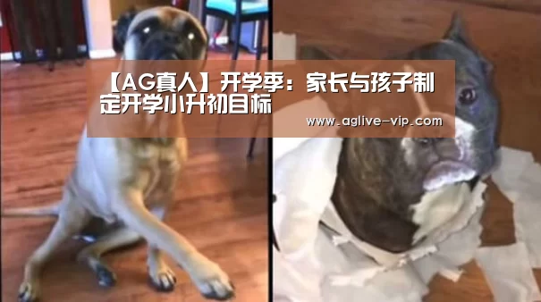 【AG真人】开学季:家长与孩子制定开学小升初目标(图2) AG真人
